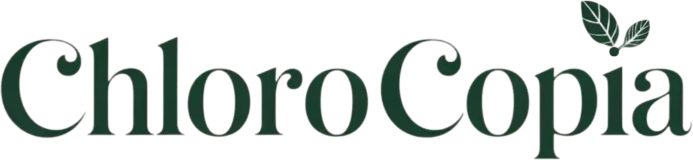 Plant Based Vegan Recipes & Remedies For Health & Wellbeing